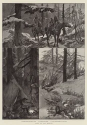 Sport in the Rockies